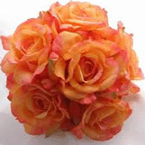 Bangla New Year Roses